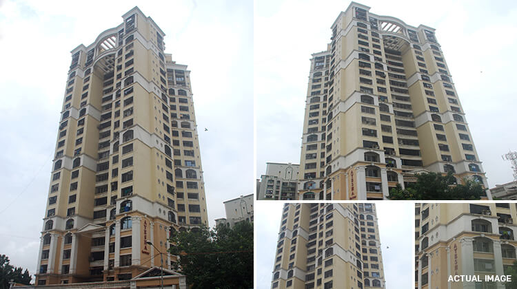 portfolio-image